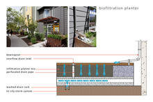 Biofiltration planters treat stormwater from each townhouse gutter. - Photo Credit: Bruce Damonte (photo)/Architect (photo)/PGA Design (diagram)