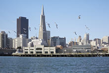 Exploratorium from San Francisco Bay - Photo Credit: Photo by Bruce Damonte