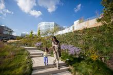 Guests enjoy a terraced garden’s winding path and surrounding sustainable landscapes on their way to the CSL’s second- and first-floor entrances. - Photo Credit: Phipps Conservatory and Botanical Gardens