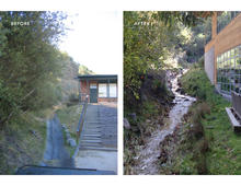 The previously channelized and now liberated creek - Photo Credit: EHDD