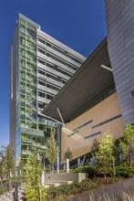 This west perspective of the building shows the dynamic architecture as well as the integration of landscape and architectural elements. The transition between the street elevation and the main building level can be seen as part of an overall landscaping strategy with the concrete elements extending into the landscape to be used as social space during nice weather. Sun and drought tolerant native plantings were used throughout the project. - Photo Credit: Alene Davis Photography