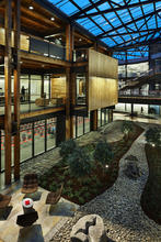 Atrium landscaping. - Photo Credit: Benjamin Benschneider