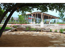A grove of heritage oaks partially shades the parking lot, improving the customer arrival sequence. - Photo Credit: Lake|Flato Architects