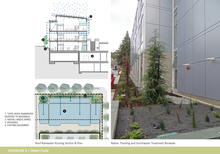 100% of roof drainage is piped from the south to a 1,400 SF landscaped bio-swale and rain garden on the north side of the tight urban site, slowing and bio-filtering stormwater before entering the city storm sewer. - Photo Credit: LMS Architects