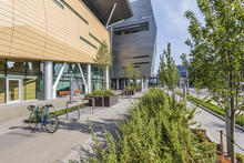 The landscape design incorporates water-wise, drought-tolerant native plants that help restore habitat to what was a graveled brownfield site. The stormwater management system merges with the landscape design, which includes integrated flow-through planters. - Photo Credit: Alene Davis Photography
