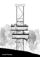 Longitudinal Section - Photo Credit: Mithun