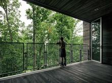 Indoor spaces are immersed within the forest canopy and rely on natural cooling and foliage for shading. - Photo Credit: Photography by Joe Fletcher