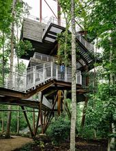 Tapered structure defers to foliage and helps to minimize impacts to the natural environment. - Photo Credit: Photography by Joe Fletcher