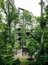 Phototropic structural frame elevates renewable energy elements above the forest canopy. - Photo Credit: Photography by Joe Fletcher