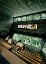 The Ground Viewing Gallery provides interactive teaching opportunities and a focus on the forest floor ecosystem. - Photo Credit: Photography by Joe Fletcher