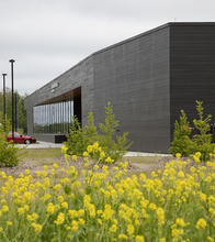 Native Plantings - Photo Credit: Frank Ooms