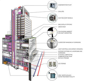 New york university strategy