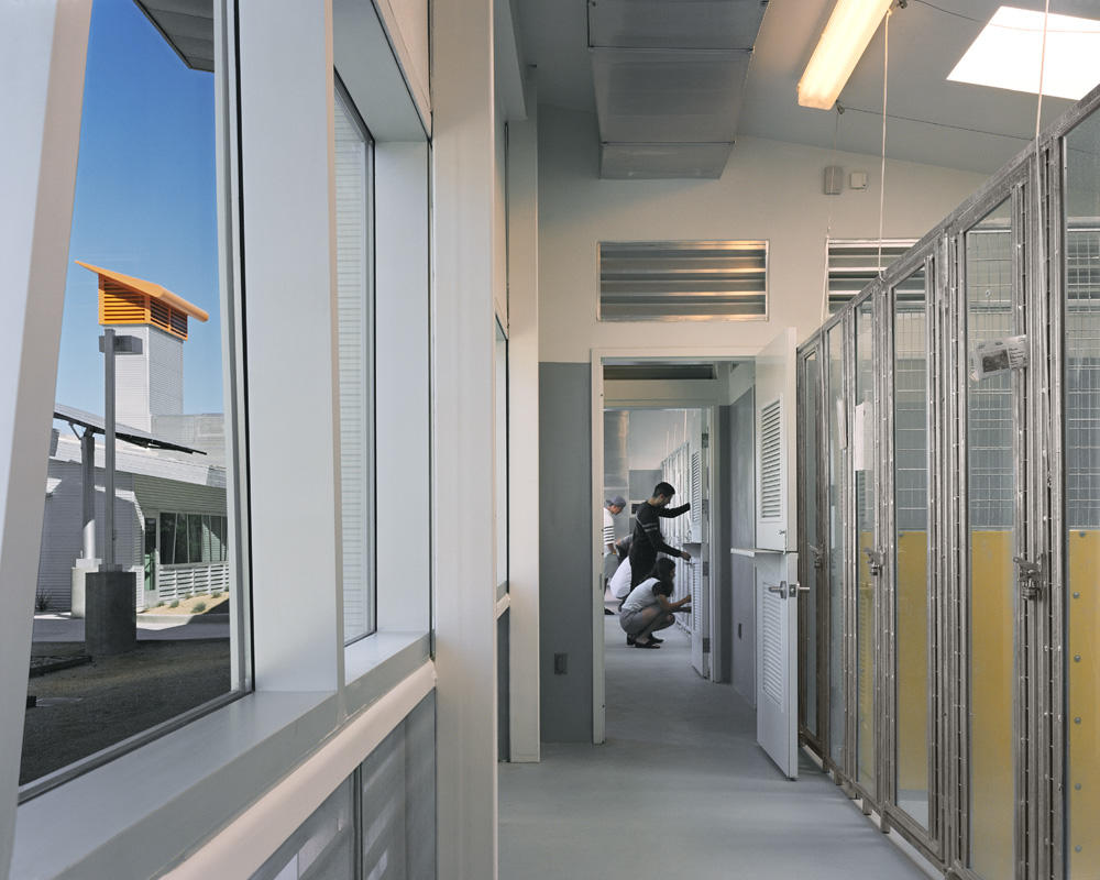 The Animal Foundation Dog Adoption Park | AIA Top Ten The Animal Foundation Dog Adoption Park | AIA Top Ten