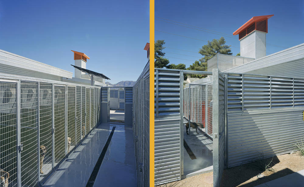 The Animal Foundation Dog Adoption Park | AIA Top Ten The Animal Foundation Dog Adoption Park | AIA Top Ten